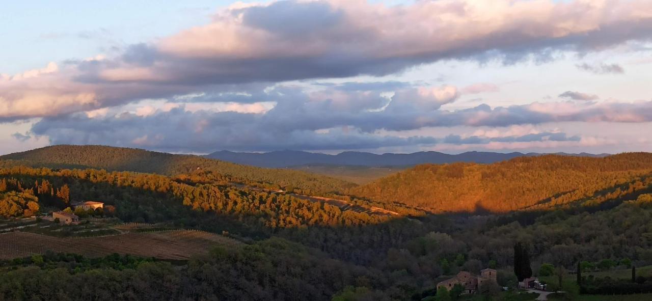 Palazzo Bianciardi Attico Daire Castellina in Chianti Dış mekan fotoğraf