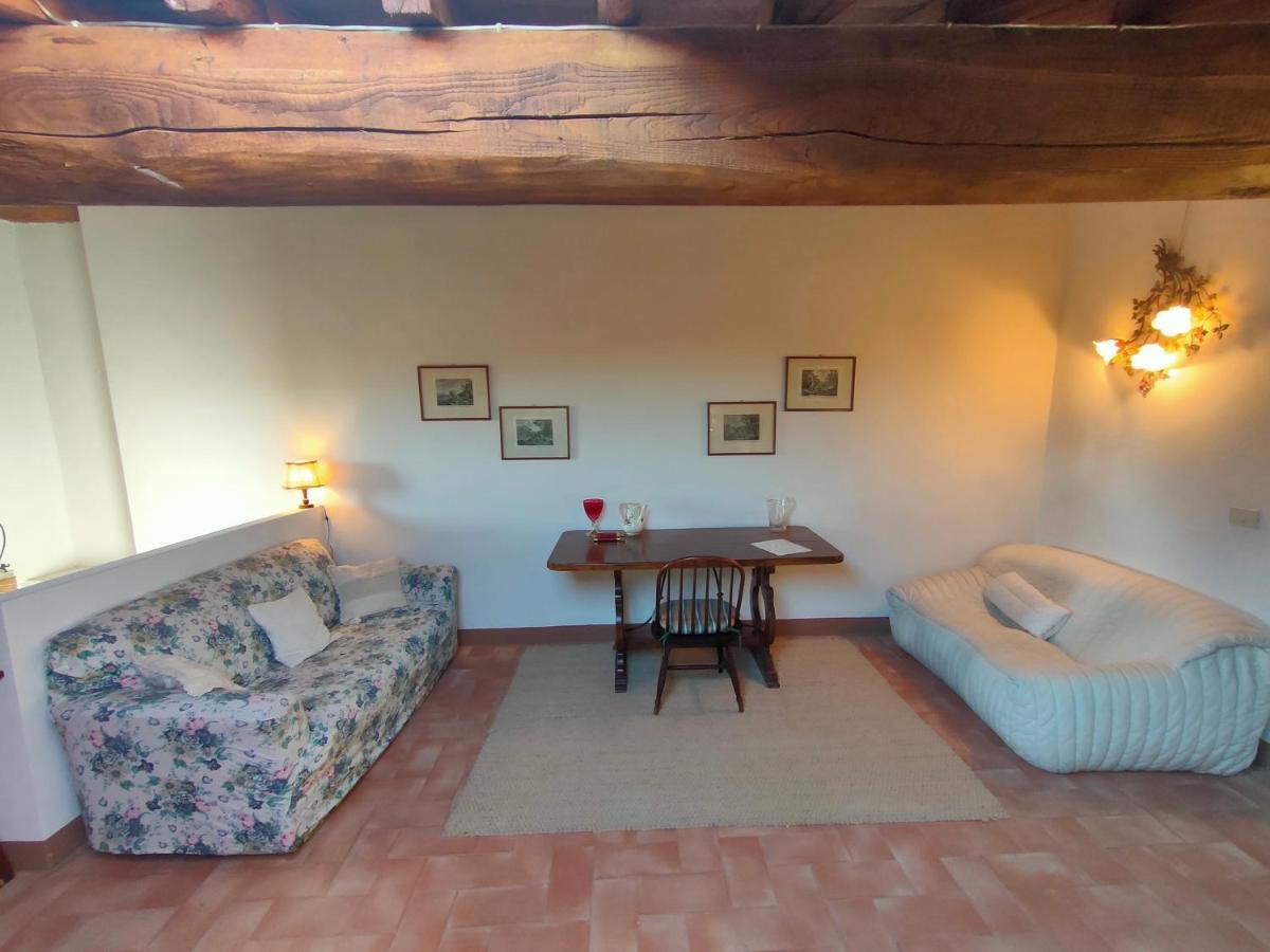 Palazzo Bianciardi Attico Daire Castellina in Chianti Dış mekan fotoğraf