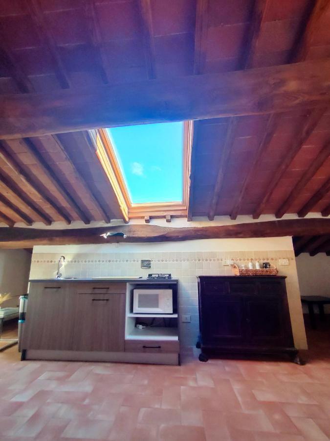 Palazzo Bianciardi Attico Daire Castellina in Chianti Dış mekan fotoğraf