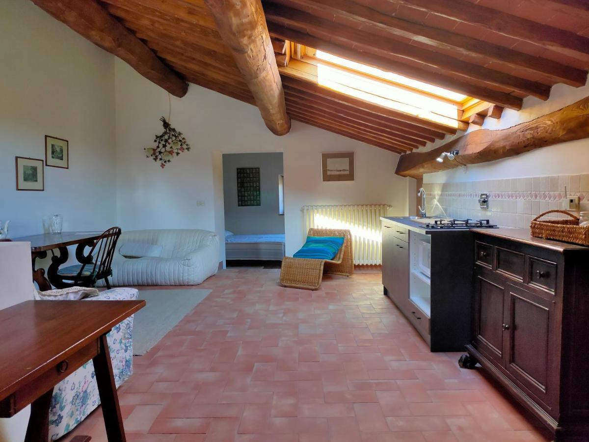 Palazzo Bianciardi Attico Daire Castellina in Chianti Dış mekan fotoğraf