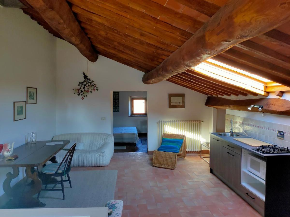 Palazzo Bianciardi Attico Daire Castellina in Chianti Dış mekan fotoğraf