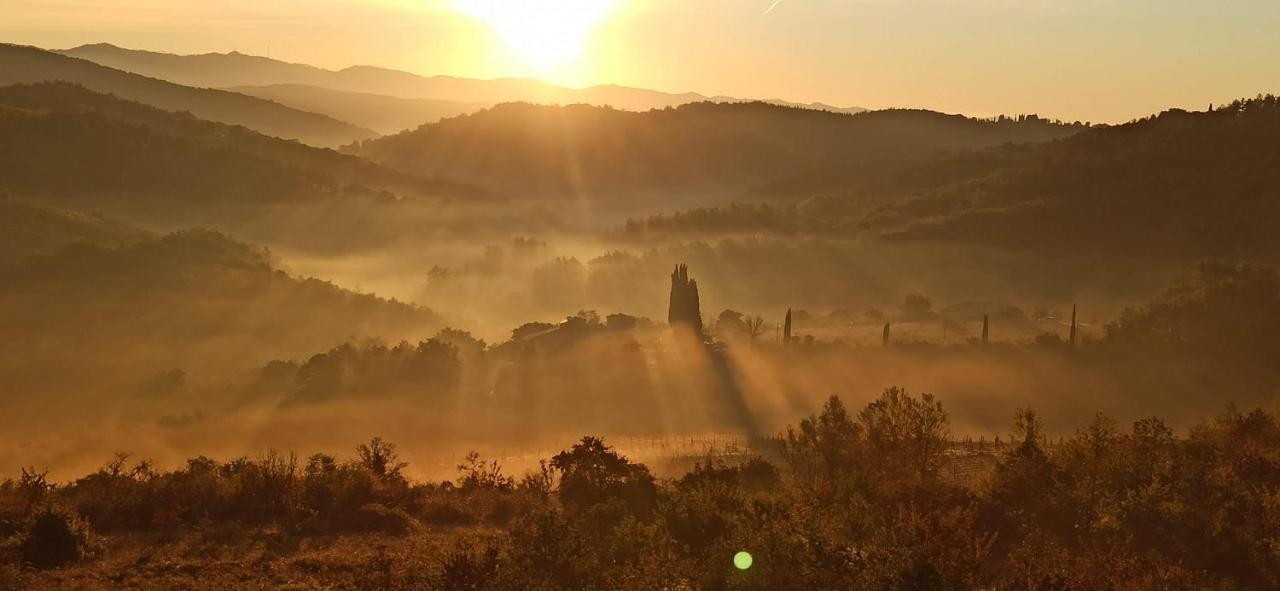 Palazzo Bianciardi Attico Daire Castellina in Chianti Dış mekan fotoğraf