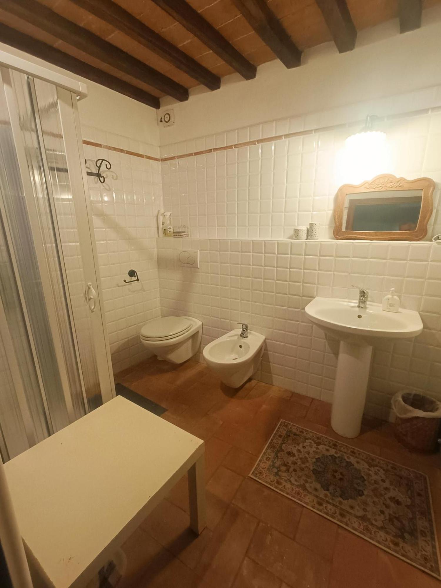Palazzo Bianciardi Attico Daire Castellina in Chianti Dış mekan fotoğraf
